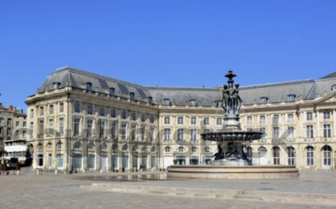 Club ECMO pédia 12 et 13 nov 2025 avec RFMCC à Bordeaux