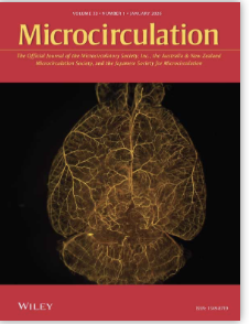 Improved Detection of Capillaries in High-Resolution Handheld Vital Microscopy by Use of the MicroTools Advanced Computer Vision Algorithm